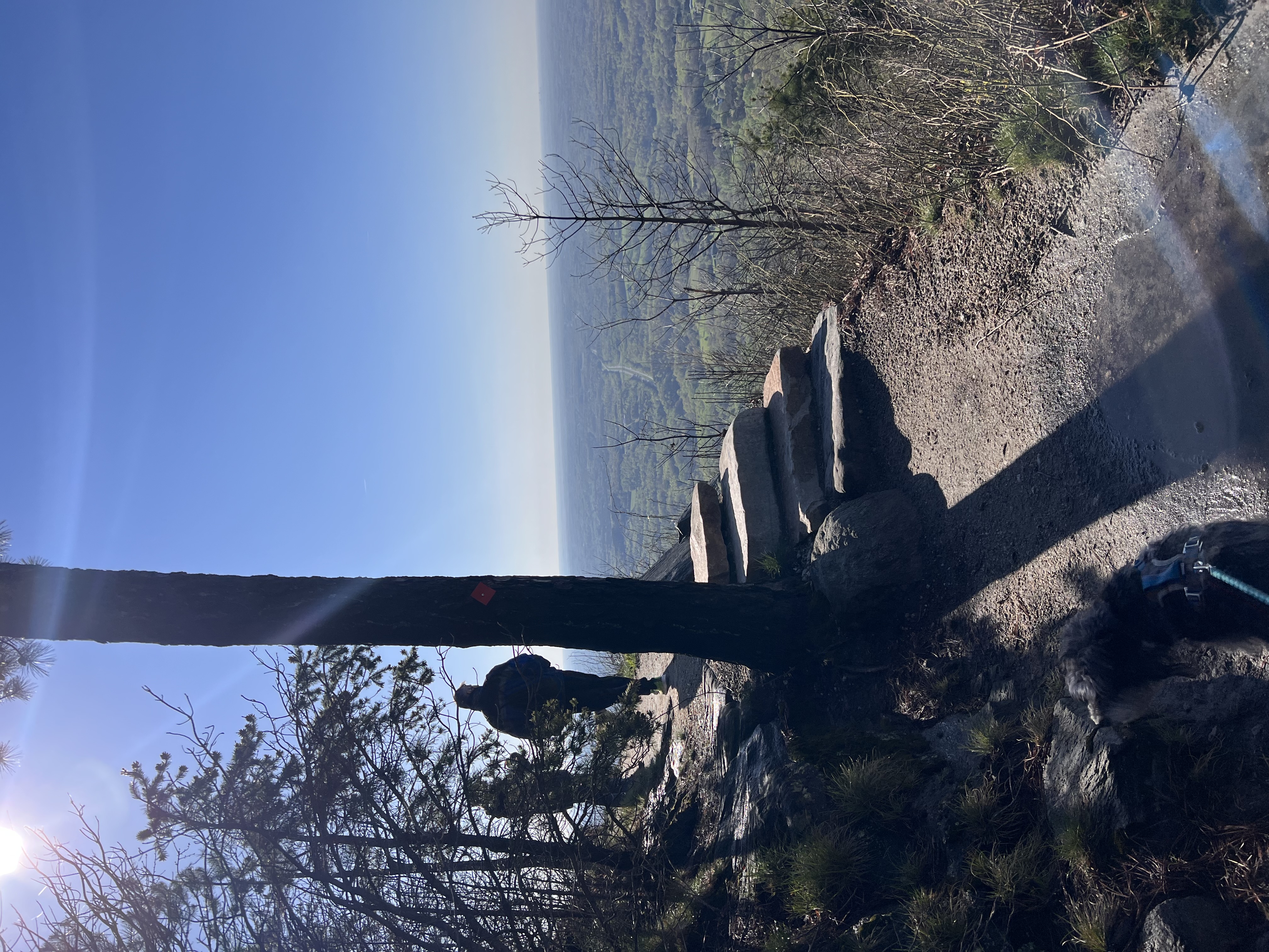 ./2023/05 - Toni Adventures/IMG_2955.JPG